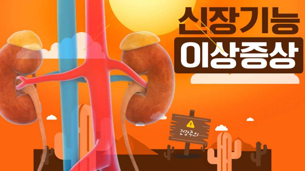 신장기능